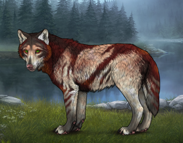 new-largest-puppy-wolvden