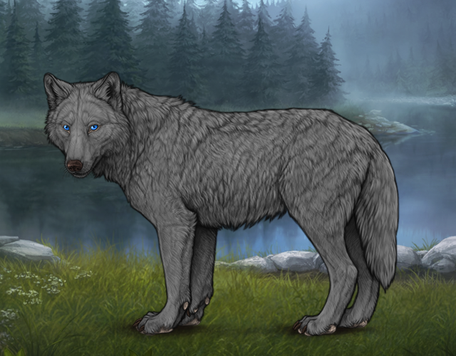 Stone Wolves Stone |:| Wolvden