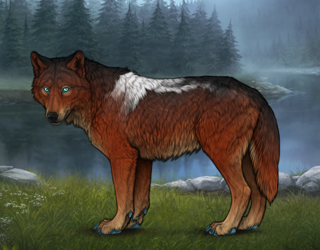 Wolves Taking Rouge Test Rouge |:| Wolvden