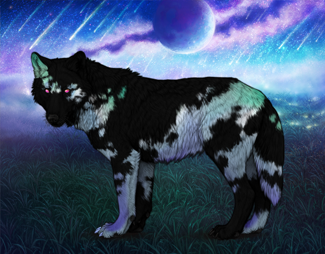 new-largest-puppy-mottled-wolvden