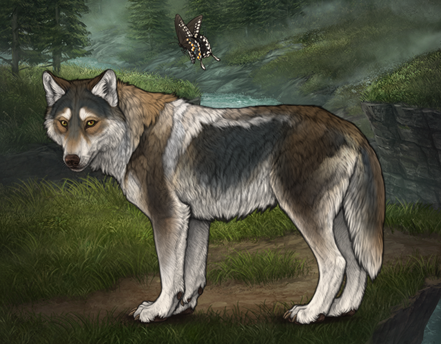 New Befriended Wolf |:| Wolvden