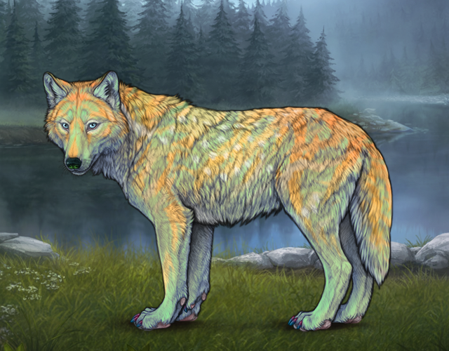 Turquoise Wolves Turquoise |:| Wolvden