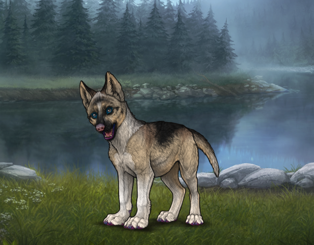 What Wolf Would You Steal? Wolvden