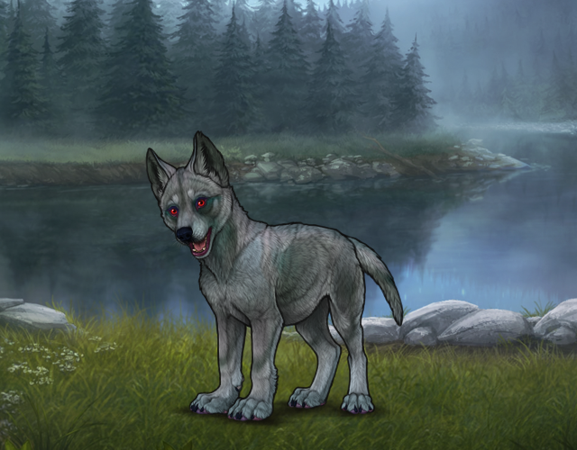Random Wolf Image