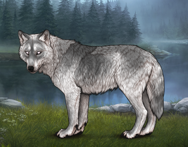 New Befriended Wolf |:| Wolvden