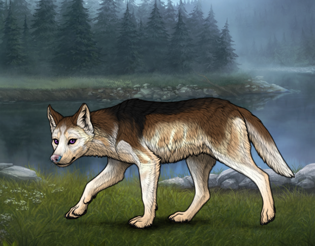 New Puppy |:| Wolvden