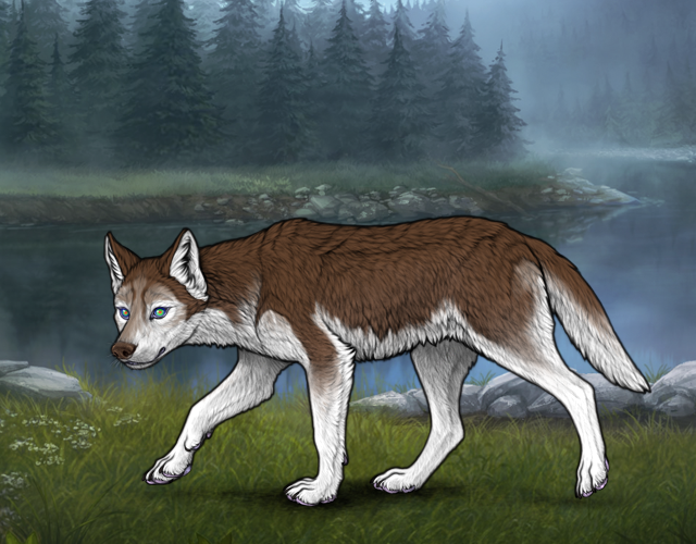 New Befriended Wolf |:| Wolvden