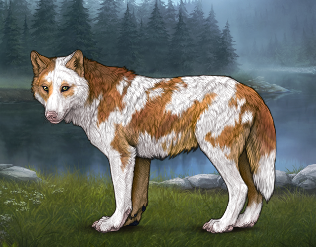 Piebald: Torn |:| Wolvden