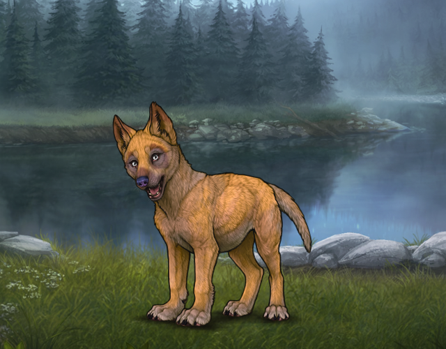 New Puppy |:| Wolvden