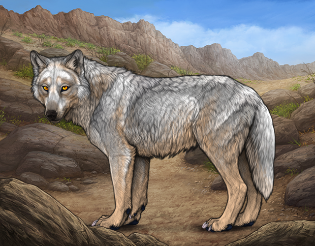 Tamlin 7C |:| Wolvden