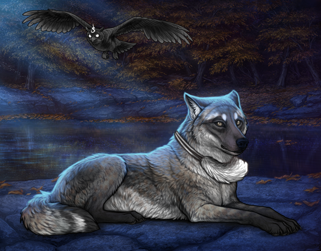 Chased Wolf Spotting - Revamped |:| Wolvden