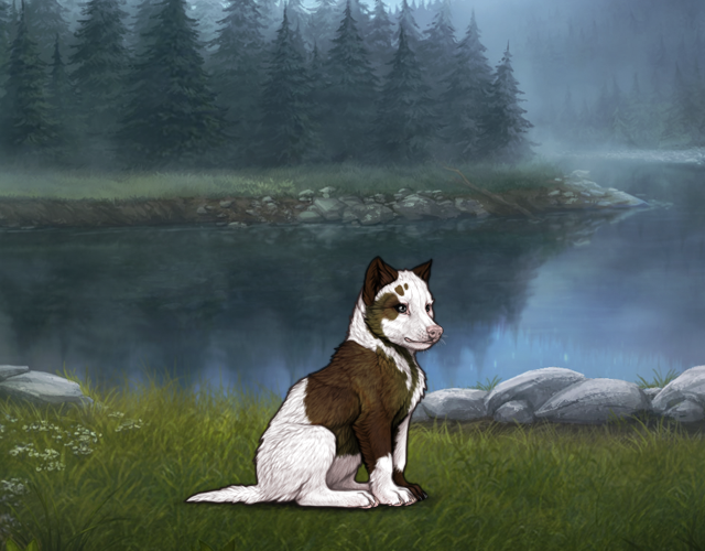 New Puppy |:| Wolvden
