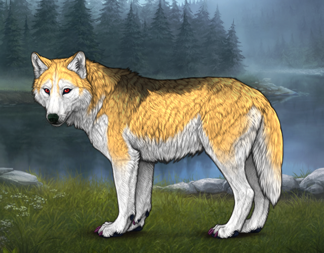 New Befriended Wolf |:| Wolvden