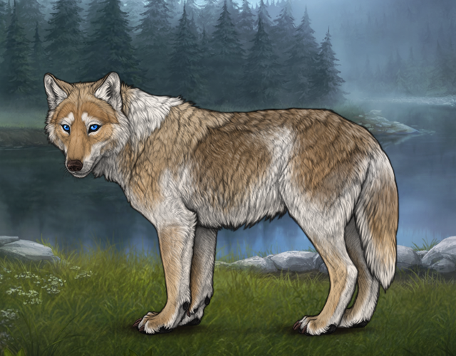 Chased Wolf Spotting - Revamped |:| Wolvden