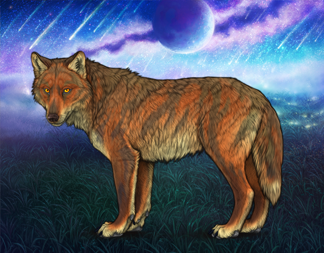 Hot Step |:| Wolvden