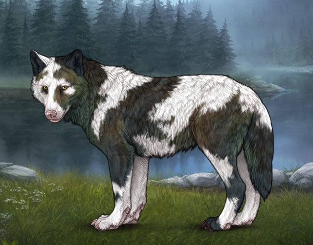 Piebald Uneven Wolvden