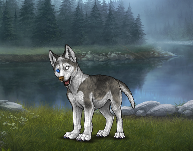 new-largest-puppy-wolvden