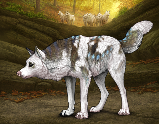 ̶̹̕ᴸⁱ̵̶̞́́ᵐ̵̶̺͓̓̚ᵇᵒ̴̢̏ɢ² |:| Wolvden