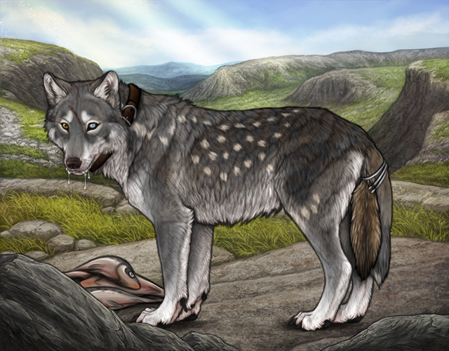 What wolf from the person above is best decorated? |:| Wolvden