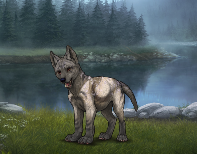 Teethy Melchior [CF] |:| Wolvden