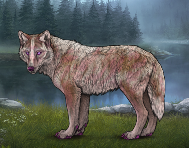 Event Wraith Skin New Befriended Wolf |:| Wolvden