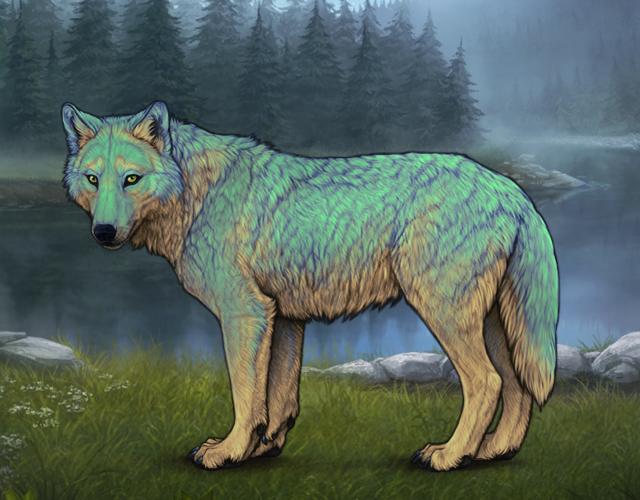 Turquoise Wolves Fora T* Turquoise🌟 4M |:| Wolvden