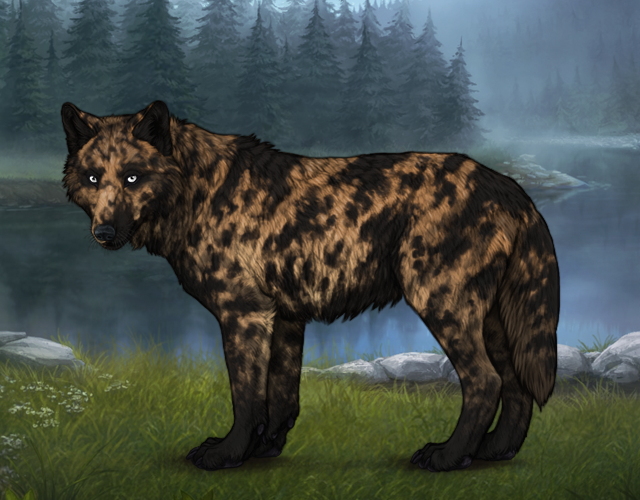 Chased Wolf Spotting - Revamped |:| Wolvden