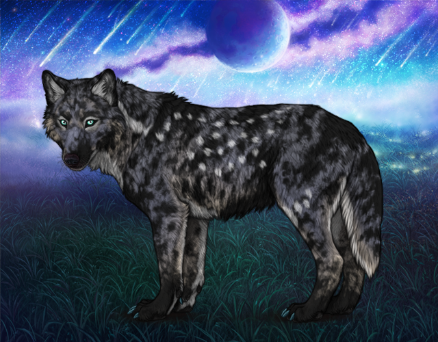 Chased Wolf Spotting - Revamped |:| Wolvden