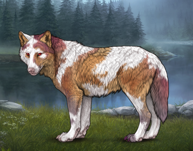 Piebald 5 Riser Wolvden