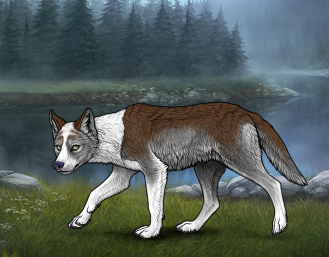 New Befriended Wolf |:| Wolvden