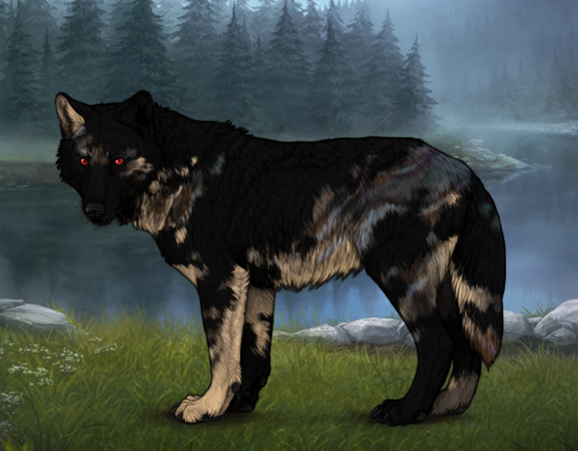 Patches: Mottled F |:| Wolvden