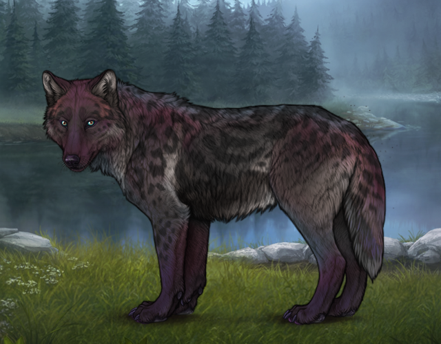 Wolves Role New Befriended Wolf |:| Wolvden