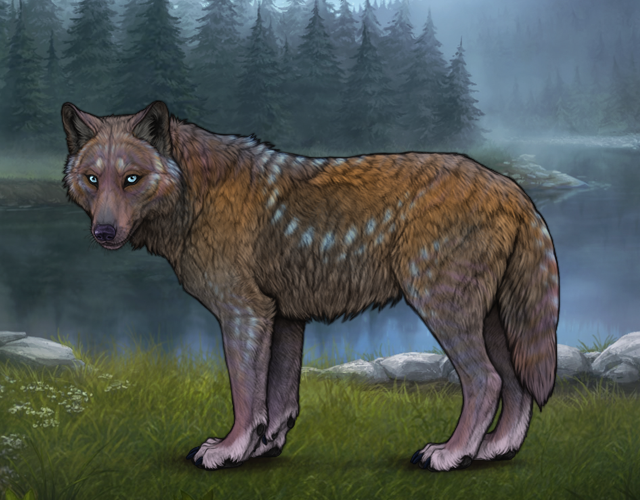 Event Wraith Skin Gabi |:| Wolvden