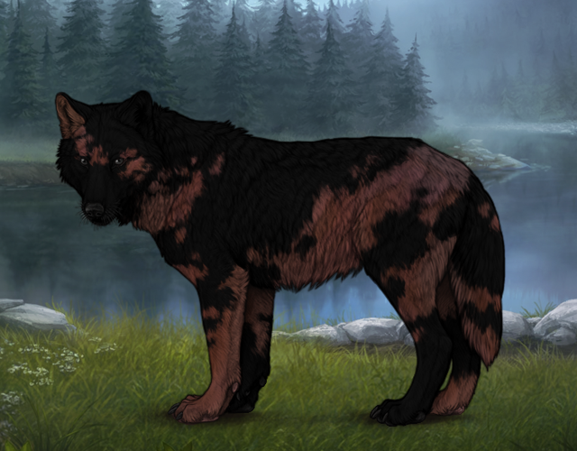 🌟Patches: Mottled🌟 |:| Wolvden