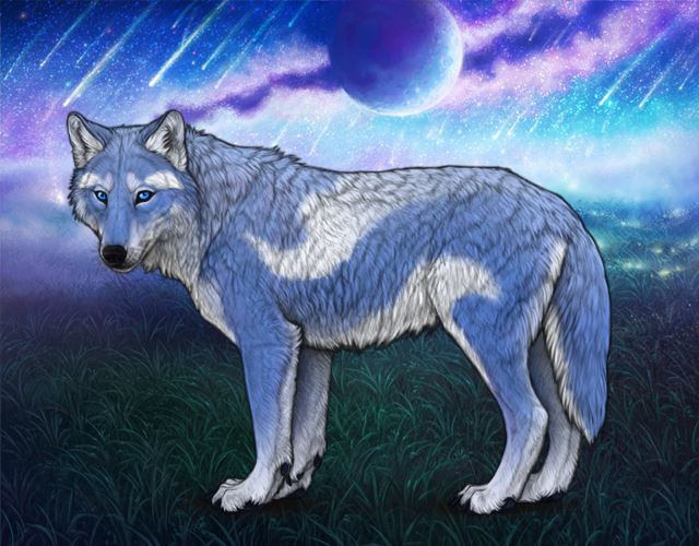 White Orca Luna G2, Stats Wolvden