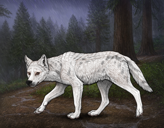 ST Nofre-ra Steele ᵍ² ∞ |:| Wolvden