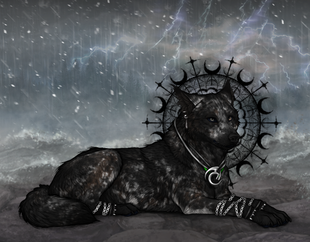 What wolf from the person above is best decorated? |:| Wolvden