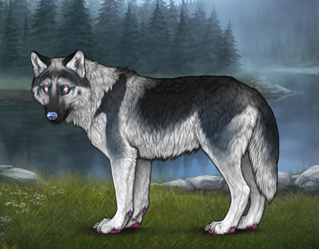 New Befriended Wolf Wolvden