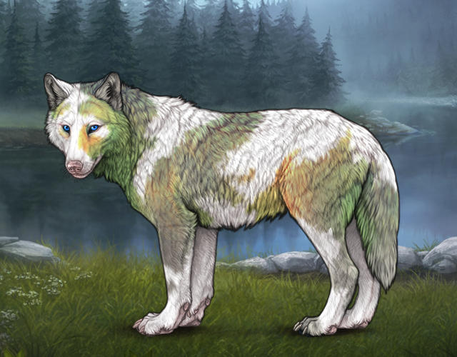 Piebald: Uneven |:| Wolvden