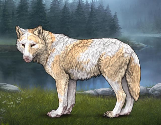 Piebald Pup |:| Wolvden