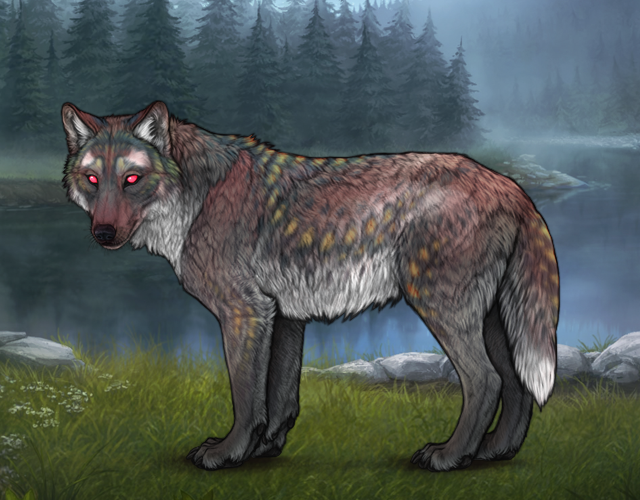 Akhlut Female G2 |:| Wolvden