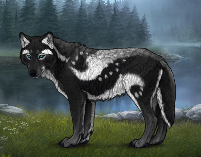 Chased Wolf Spotting - Revamped |:| Wolvden