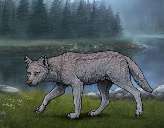 Wolves Dst Dusts upon Dawn S |:| Wolvden