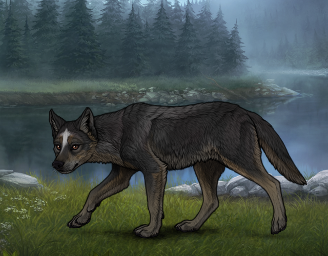 Obsidian [CF] |:| Wolvden