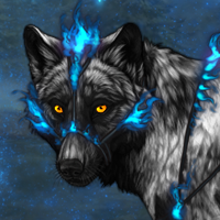 Wolf Headshot
