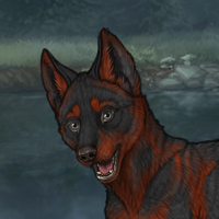 New Puppy Headshot