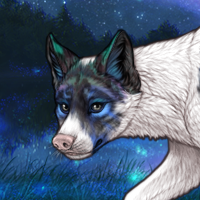 Canis Major Headshot