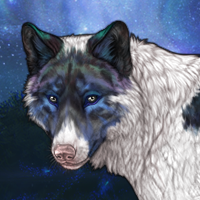 Canis Major Headshot