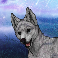 Ashen Male Headshot