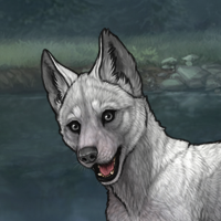 Blizzardhowl Headshot